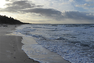 Strand