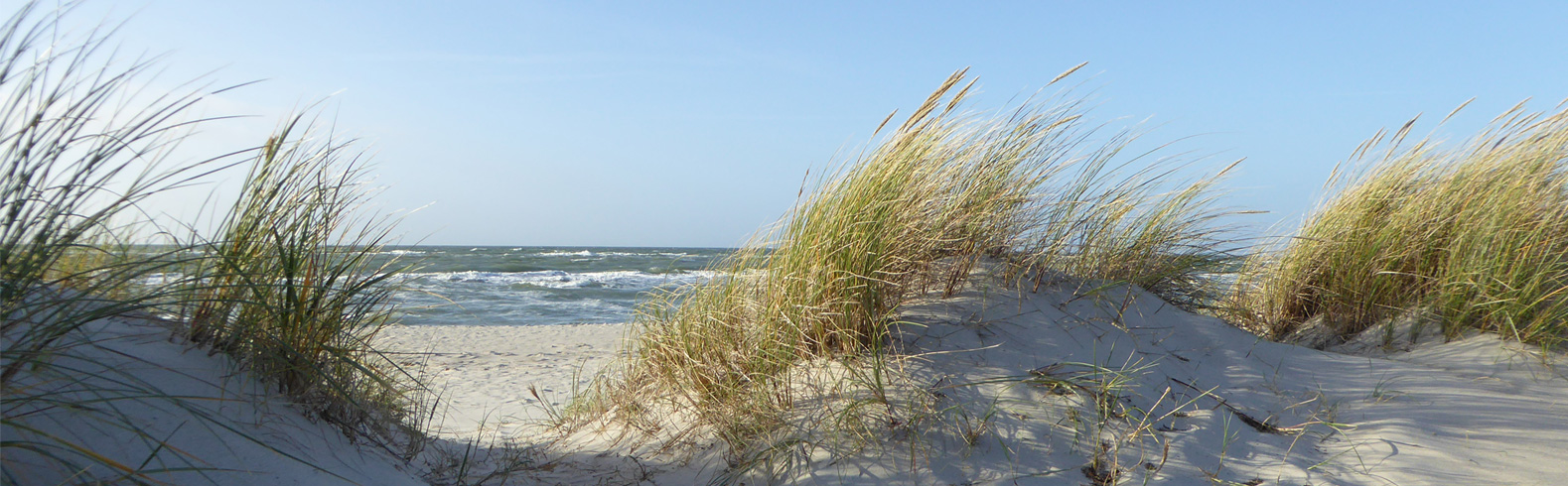 Weststrand von Prerow